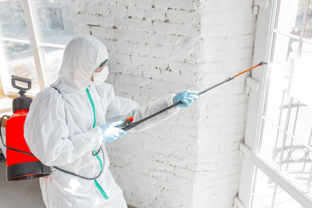 Best Mold Removal for HVAC Installations  in Rolling Hills Estates, CA